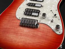 SCHECTER SD-2-24-AL-VTR-FM/RDSB/RM_6