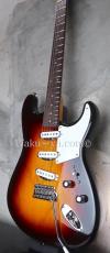 Fender Custom Shop Limited Edition "BVLGARI" Stratocaster® / NOS_5