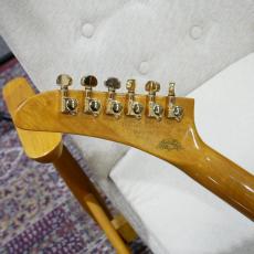 Gibson Custom Shop Explorer Heritage_10