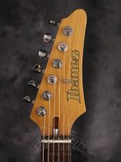 Ibanez 2022 TQMS1-CTB_4
