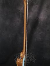 Ibanez 2022 TQMS1-CTB_7