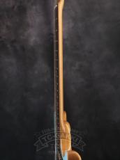 Ibanez 2022 TQMS1-CTB_10