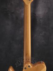 Ibanez 2022 TQMS1-CTB_14