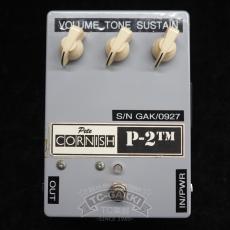 PeteCORNISH P-2 FUZZ_4
