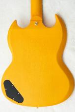 Edwards E-SG-JR-LTD -TV Yellow- #ED9381253 【数量限定生産モデル】【オールラッカー】_7