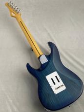 FUJIGEN EOS3-ASH-M SBB (See-Thru Blue Burst) #D250196【3.83kg】_10