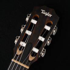 Taylor EG-12e-N LTD '22 【USED】【48回無金利】【エレガット】【限定モデル】_3