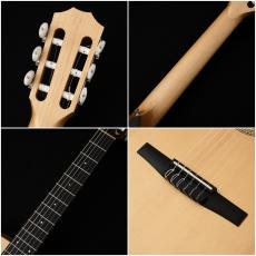 Taylor EG-12e-N LTD '22 【USED】【48回無金利】【エレガット】【限定モデル】_5
