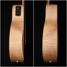 Taylor EG-12e-N LTD '22 【USED】【48回無金利】【エレガット】【限定モデル】_10