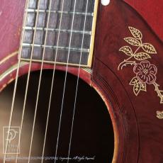 Gibson Historic Collection The 1960s DOV_15