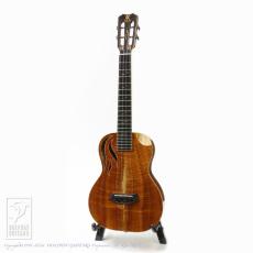 Kanile'a Platinum LE-T 21 _2