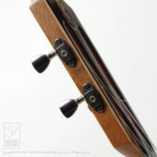 Kanile'a Platinum LE-T 21 _6