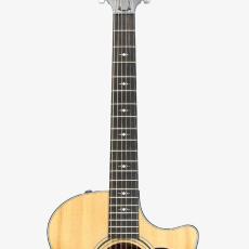 Taylor 314ce V-Class *2022_6