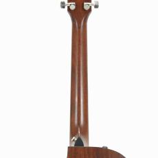 Taylor 314ce V-Class *2022_9