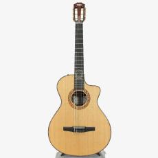 Taylor JMSM - Jason Mraz Signature Model -_2