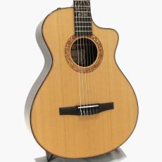 Taylor JMSM - Jason Mraz Signature Model -_4