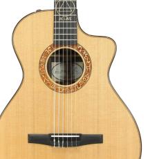 Taylor JMSM - Jason Mraz Signature Model -_5