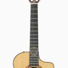 Taylor JMSM - Jason Mraz Signature Model -_6