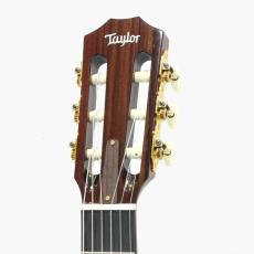 Taylor JMSM - Jason Mraz Signature Model -_7