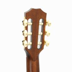 Taylor JMSM - Jason Mraz Signature Model -_8