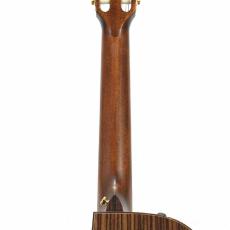 Taylor JMSM - Jason Mraz Signature Model -_9