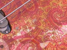 Fender Pink Paisley Telecaster Bass_10
