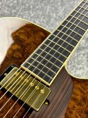 Kikuchi Guitars [おすすめ中古品!] JF16 [2.66kg]_4