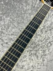 Kikuchi Guitars [おすすめ中古品!] JF16 [2.66kg]_5