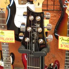 Paul Reed Smith [PRS] SE Custom 24_3