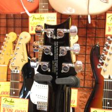 Paul Reed Smith [PRS] SE Custom 24_4