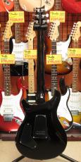 Paul Reed Smith [PRS] SE Custom 24_5