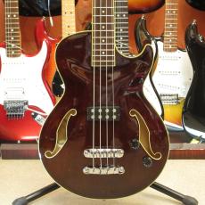 Ibanez AGB140