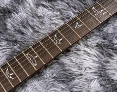 Paul Reed Smith [PRS] CE 22 Limited Edition Carrol Blue【限定モデル】【2025年製】_6