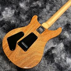 Paul Reed Smith [PRS] CE 22 Limited Edition Carrol Blue【限定モデル】【2025年製】_9
