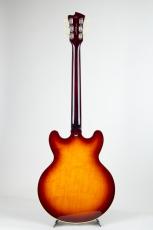 FUJIGEN Masterfield MSA-HP/Antique Sunburst【S/N D260347_4