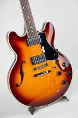 FUJIGEN Masterfield MSA-HP/Antique Sunburst【S/N D260347_9