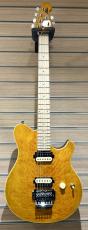 Sterling by MUSIC MAN AX40 / Trans Gold【最終入荷!!】_2