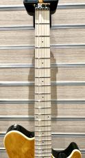 Sterling by MUSIC MAN AX40 / Trans Gold【最終入荷!!】_3