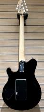 Sterling by MUSIC MAN AX40 / Trans Gold【最終入荷!!】_6