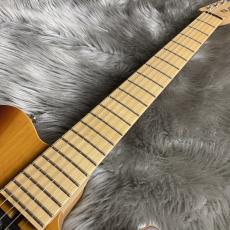 SAITO GUITARS S-622 TLC【現物画像】【最大36回分割無金利 実施中】_9