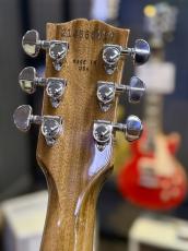 Gibson Les Paul Standard 60s Figured Top Honey Amber【ギブソン】【4.04kg】_6