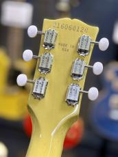 Gibson Les Paul Special TV Yellow【ギブソン】【3.43kg】_7