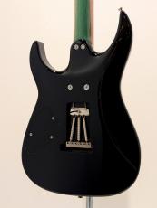 infinite Trad Fullsize Dinky ST Stabilized Maple / Black & Blue_5
