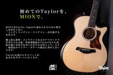 Taylor 214ce Gloss NAT 2014【Taylor公認 リペアマン在籍店】_11