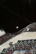 Orville TB Thunderbird Bass VS 1994_9