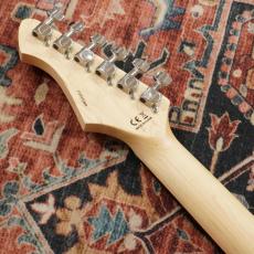 Aria Pro II 714-AE200 BKDM (Black Diamond)【丈夫なギグケース付属】_7