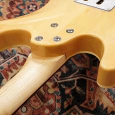 Aria Pro II 714-AE200 BKDM (Black Diamond)【丈夫なギグケース付属】_9