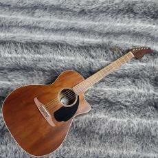 Fender NEWPORTER SPECIAL Natural