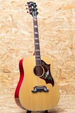 Gibson DOVE Original AN_3