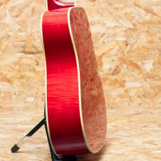 Gibson DOVE Original AN_5